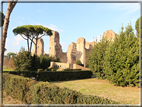 foto Terme di Caracalla